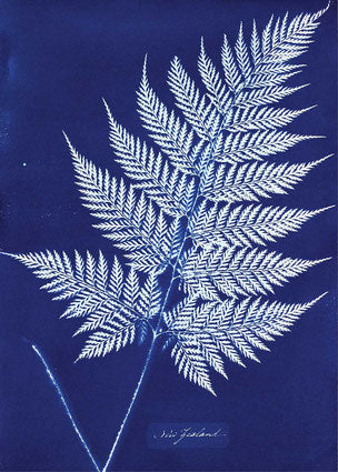 Jacquard Cyanotype Chemistry Set