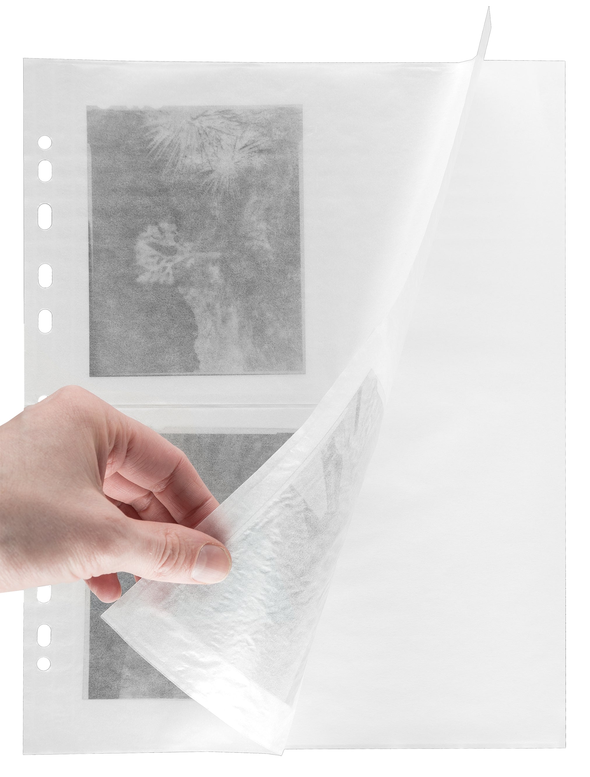 Glassine negative sleeves 4x5 inch to 10x15cm / for filing