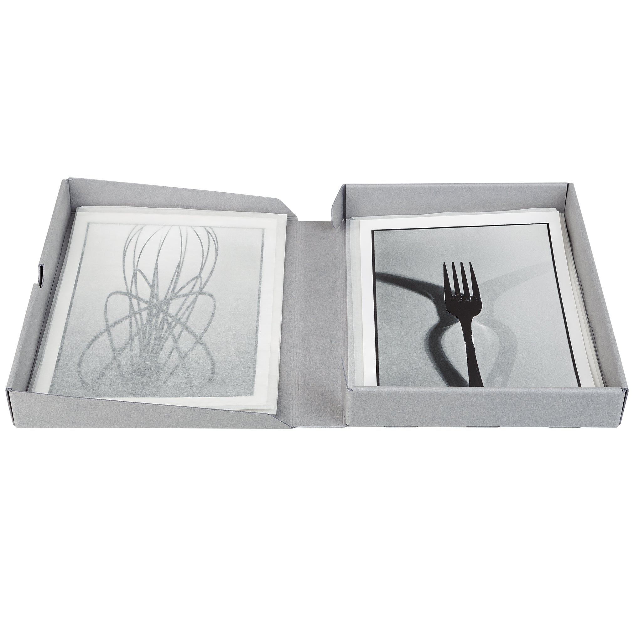 Foto Archivbox ECO mit Klappdeckel (div. Formate)