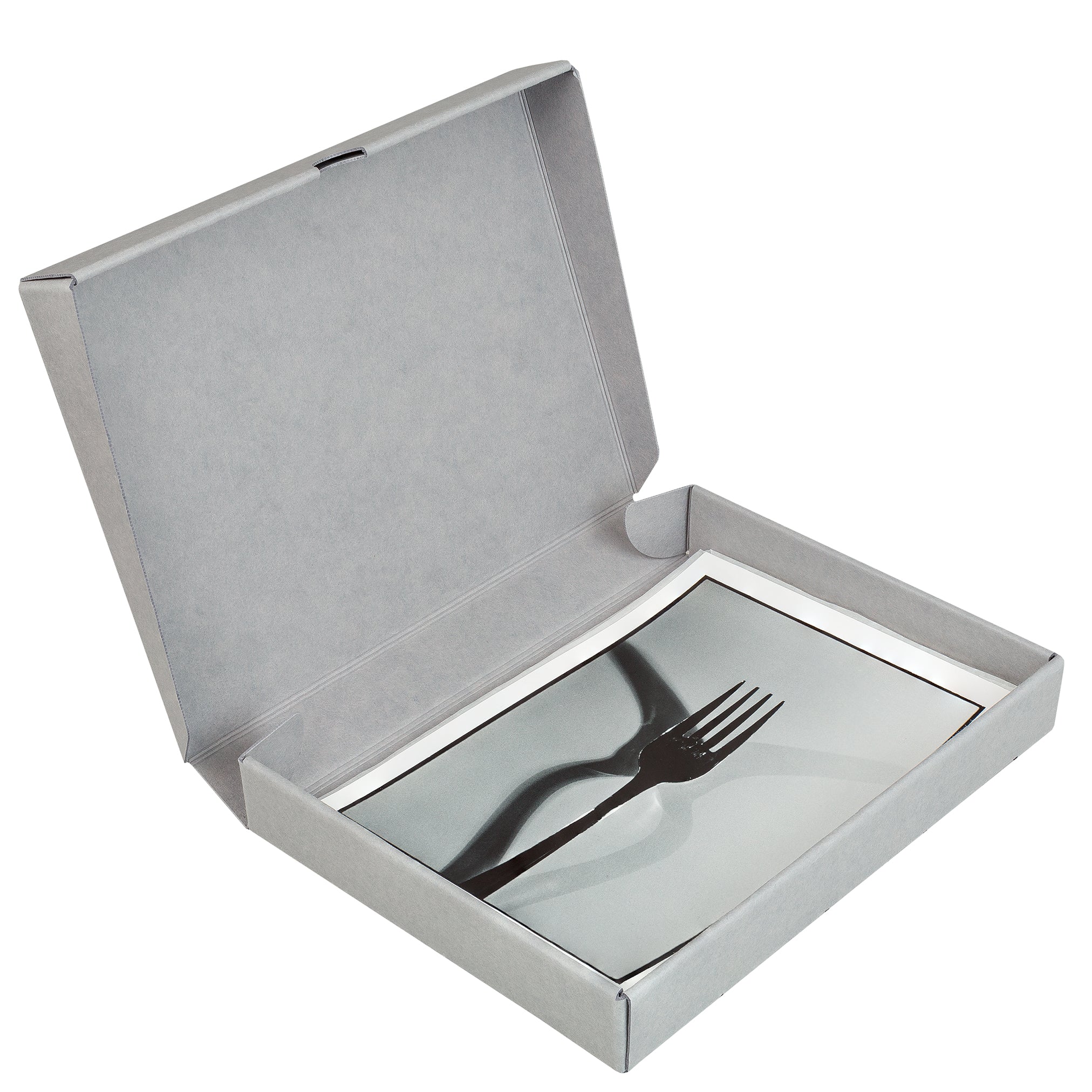 Foto Archivbox ECO mit Klappdeckel (div. Formate)