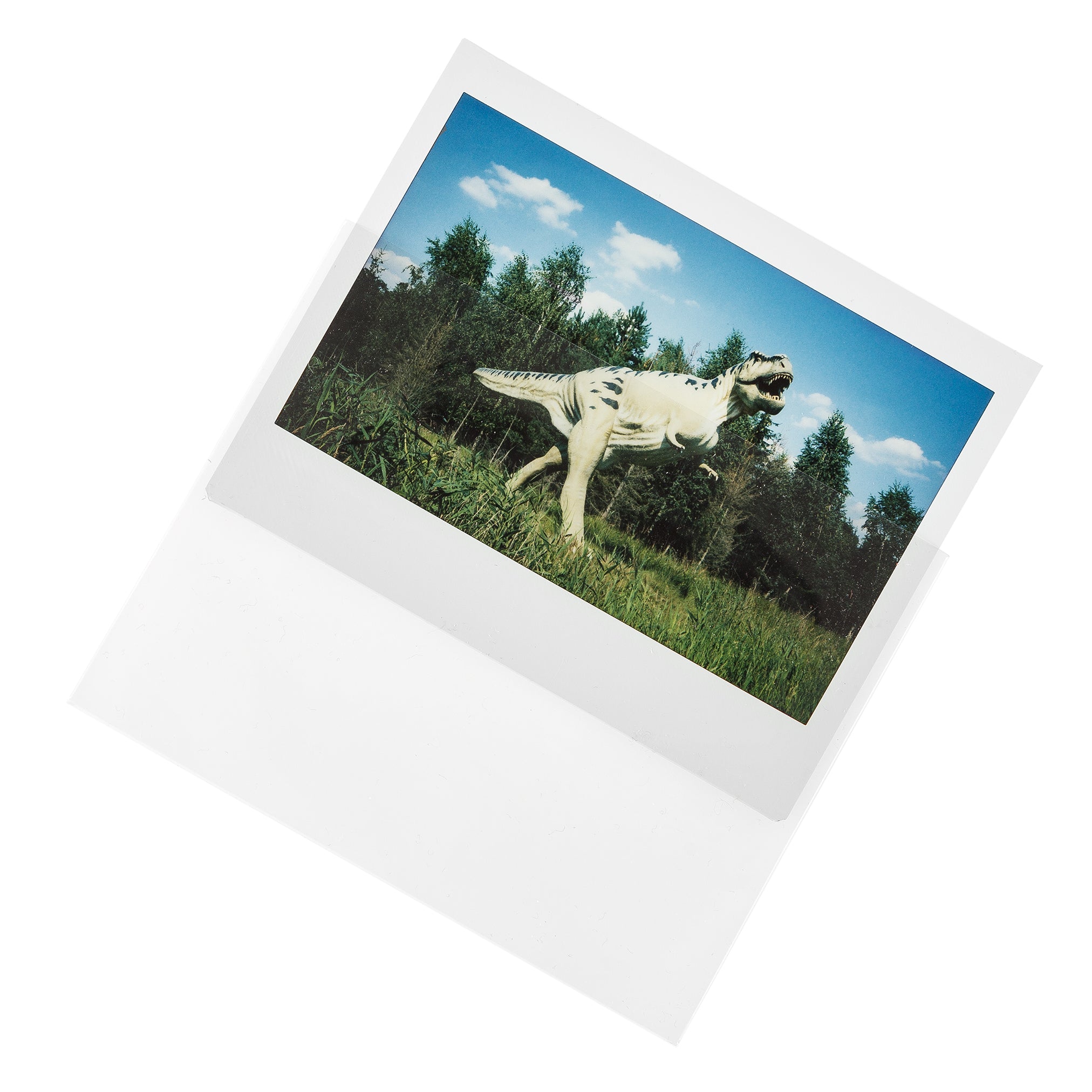 Instax Wide protective sleeves made of archival polyester