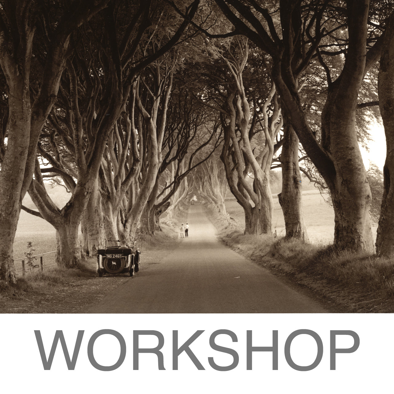 Fotolabor Workshop - Tonen und Bleichen (Marc Stache - NRW)