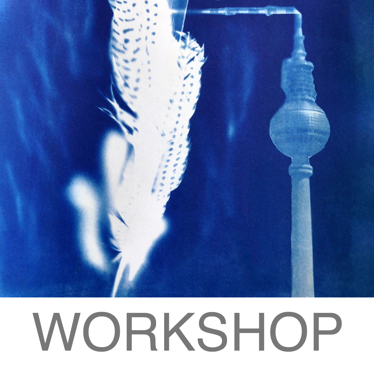 Workshop - Cyanotype Beginner Course (Kirsten Heuschen)