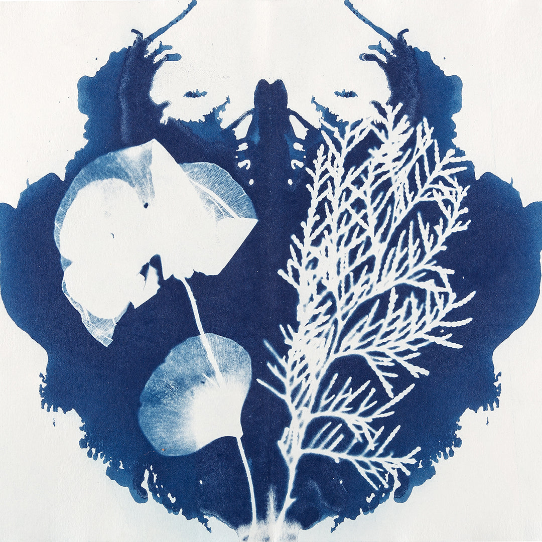 Photo laboratory workshop - cyanotype (Marc Stache - NRW)