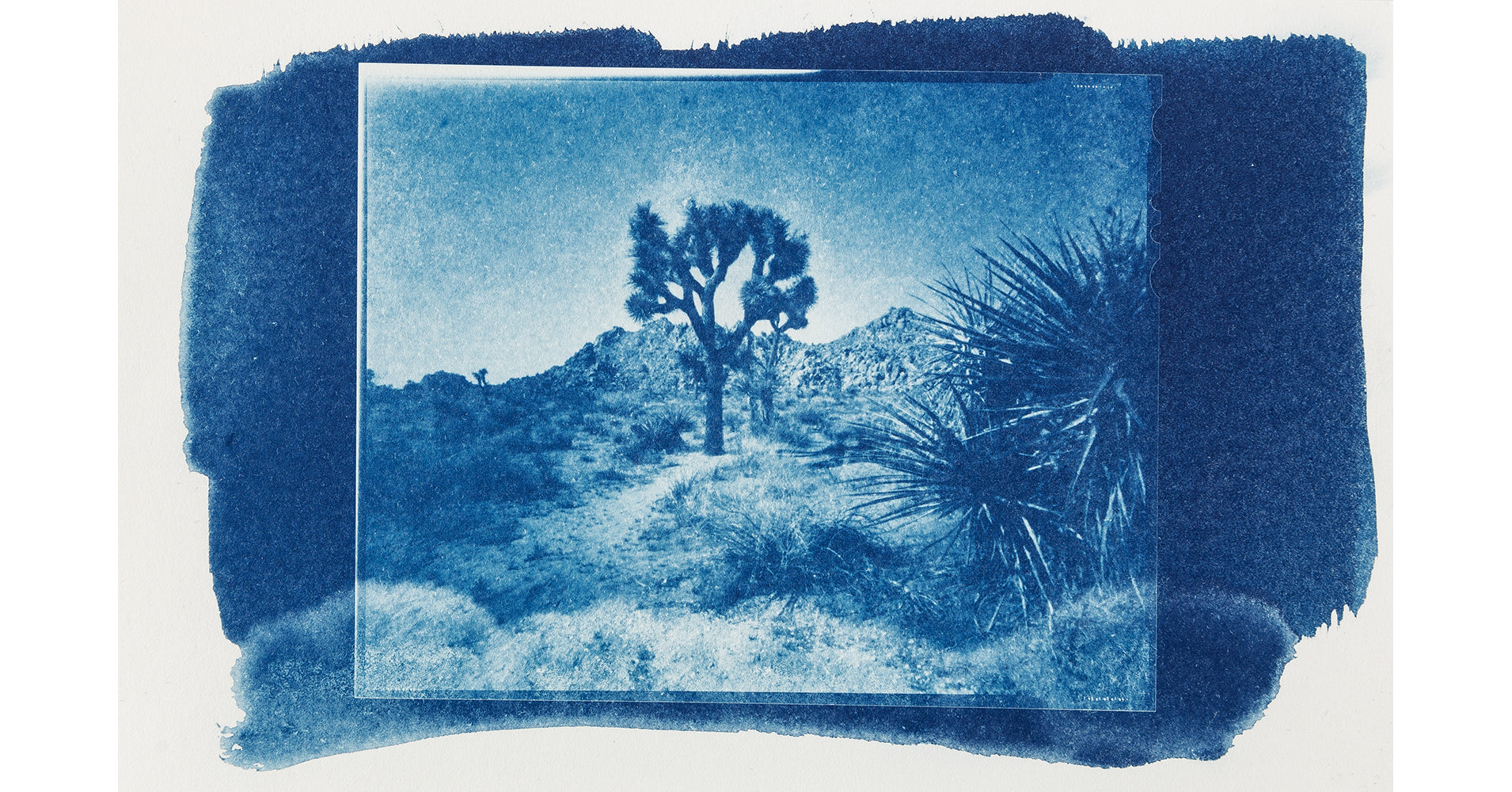Photo laboratory workshop - cyanotype (Marc Stache - NRW)
