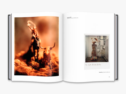 The Polaroid Project