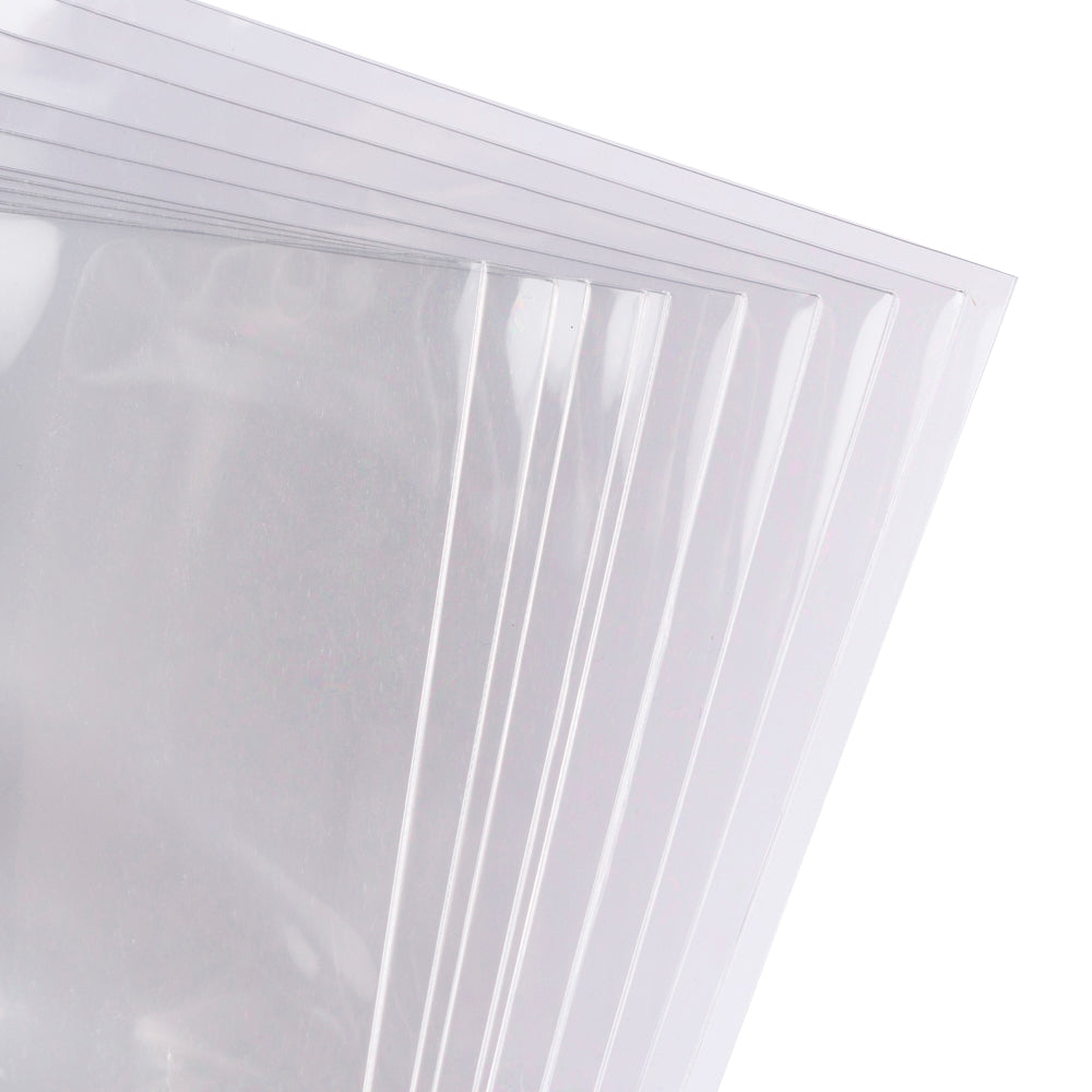 Archival Polyester Protective Sleeves (10 pieces)
