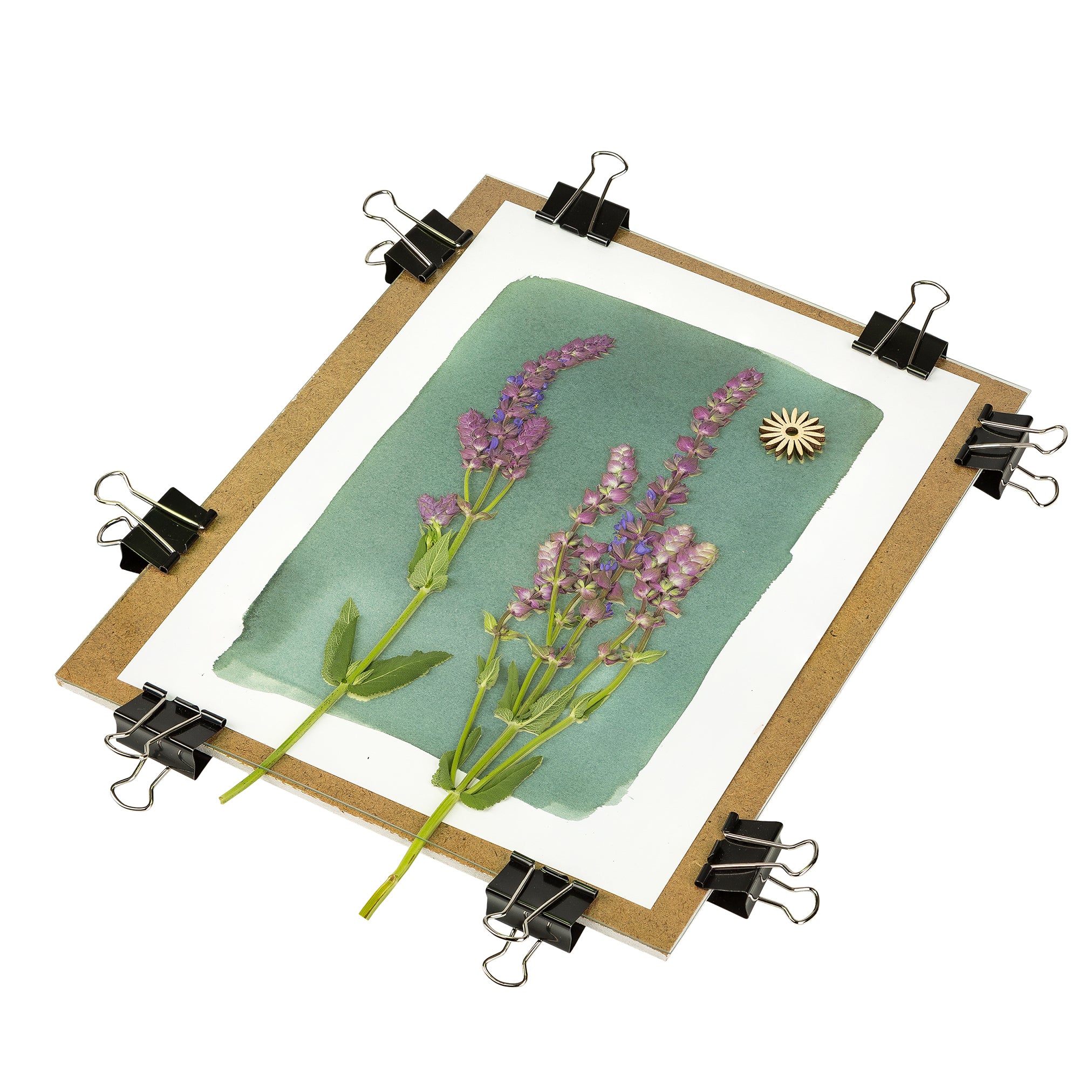 Clip frame for cyanotype, solarfast, argyrotype (24x30cm)