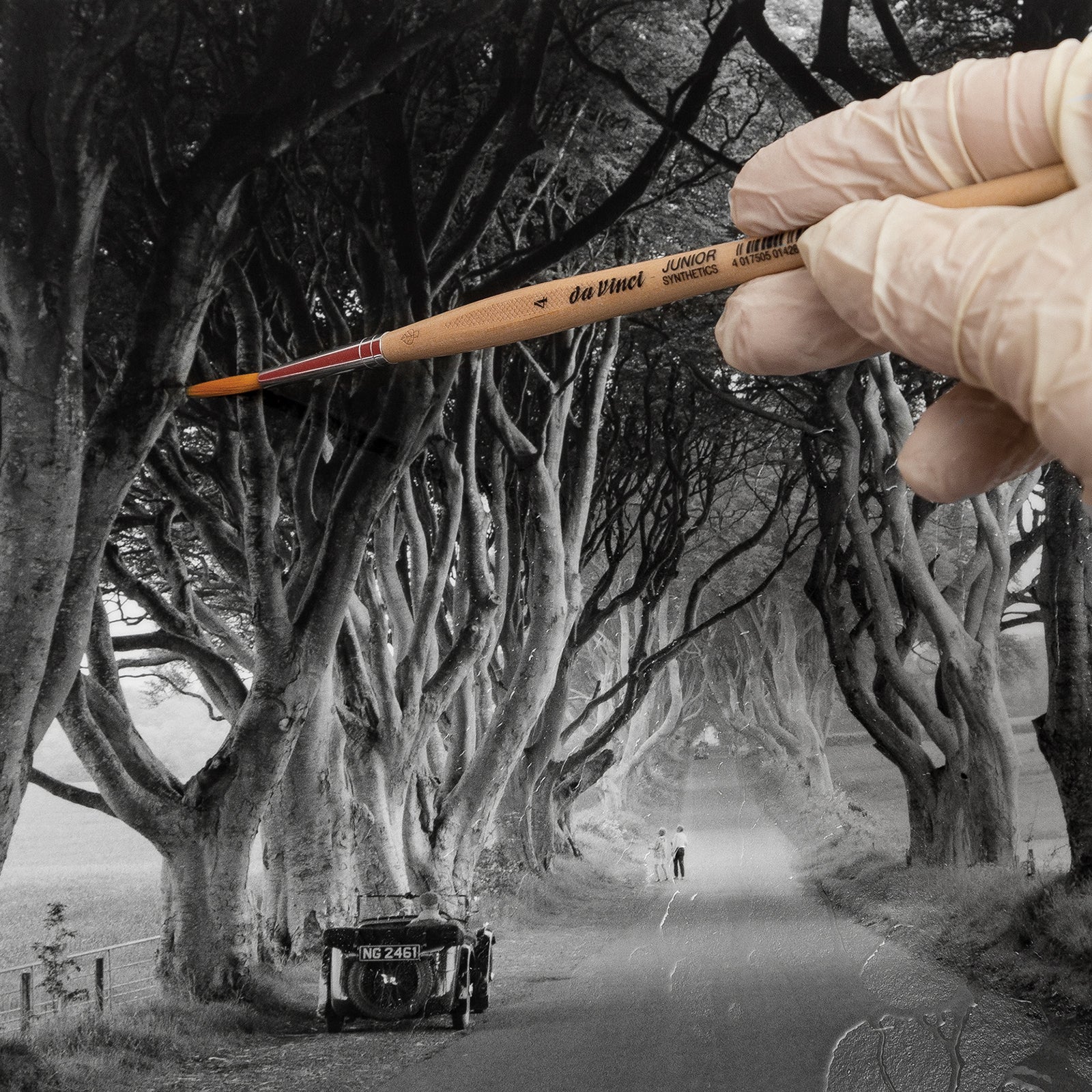 Fotolabor Workshop - Tonen und Bleichen (Marc Stache - NRW)