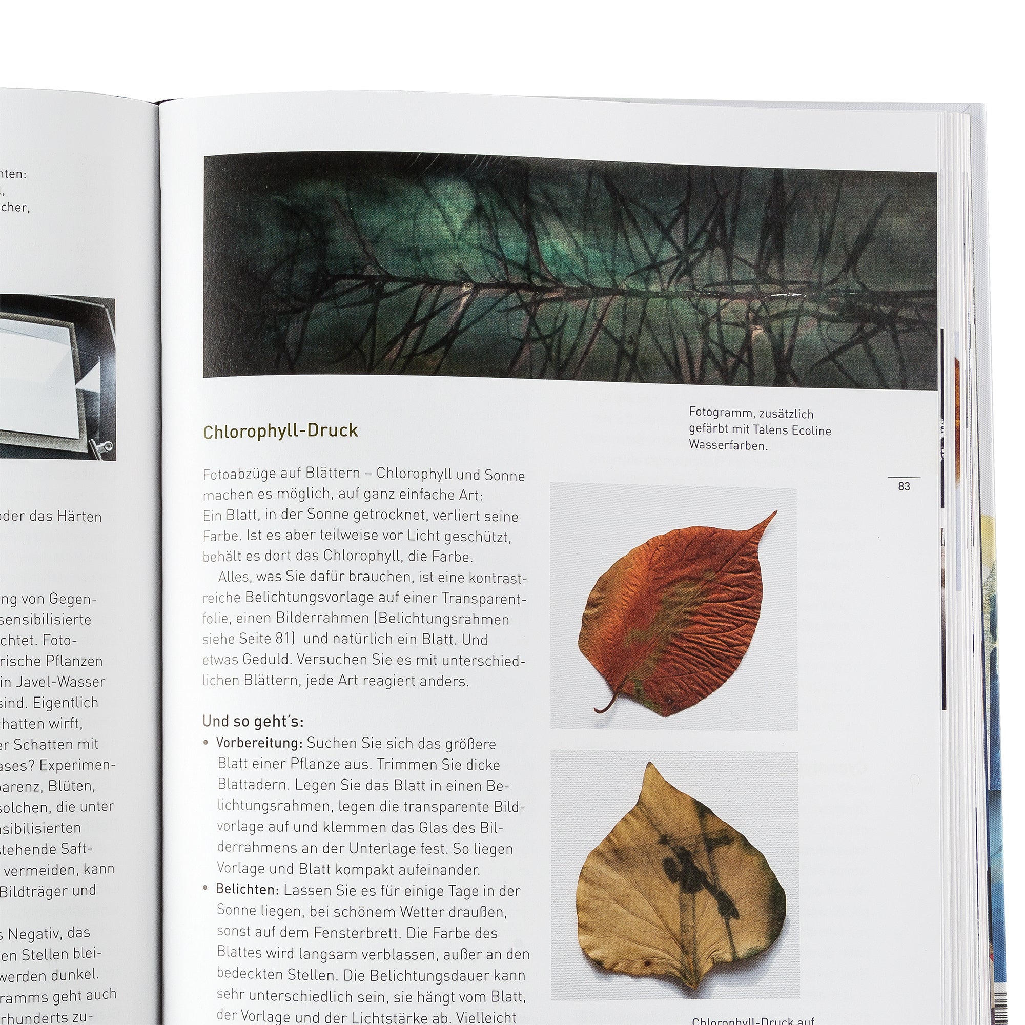 Vom Foto zum Kunstwerk