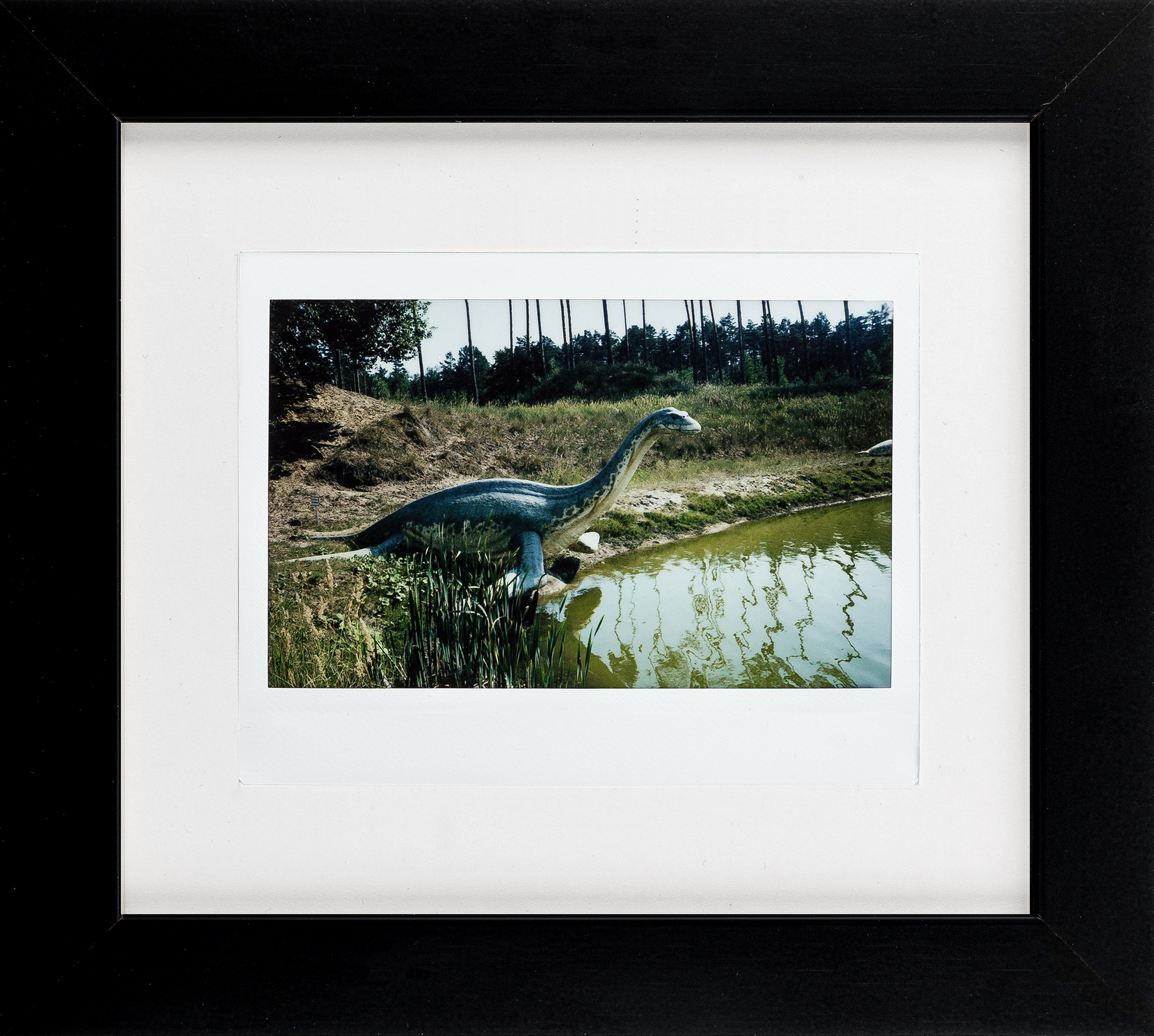 Fuji Instax Wide Bilderrahmen (schwarz/weiß)