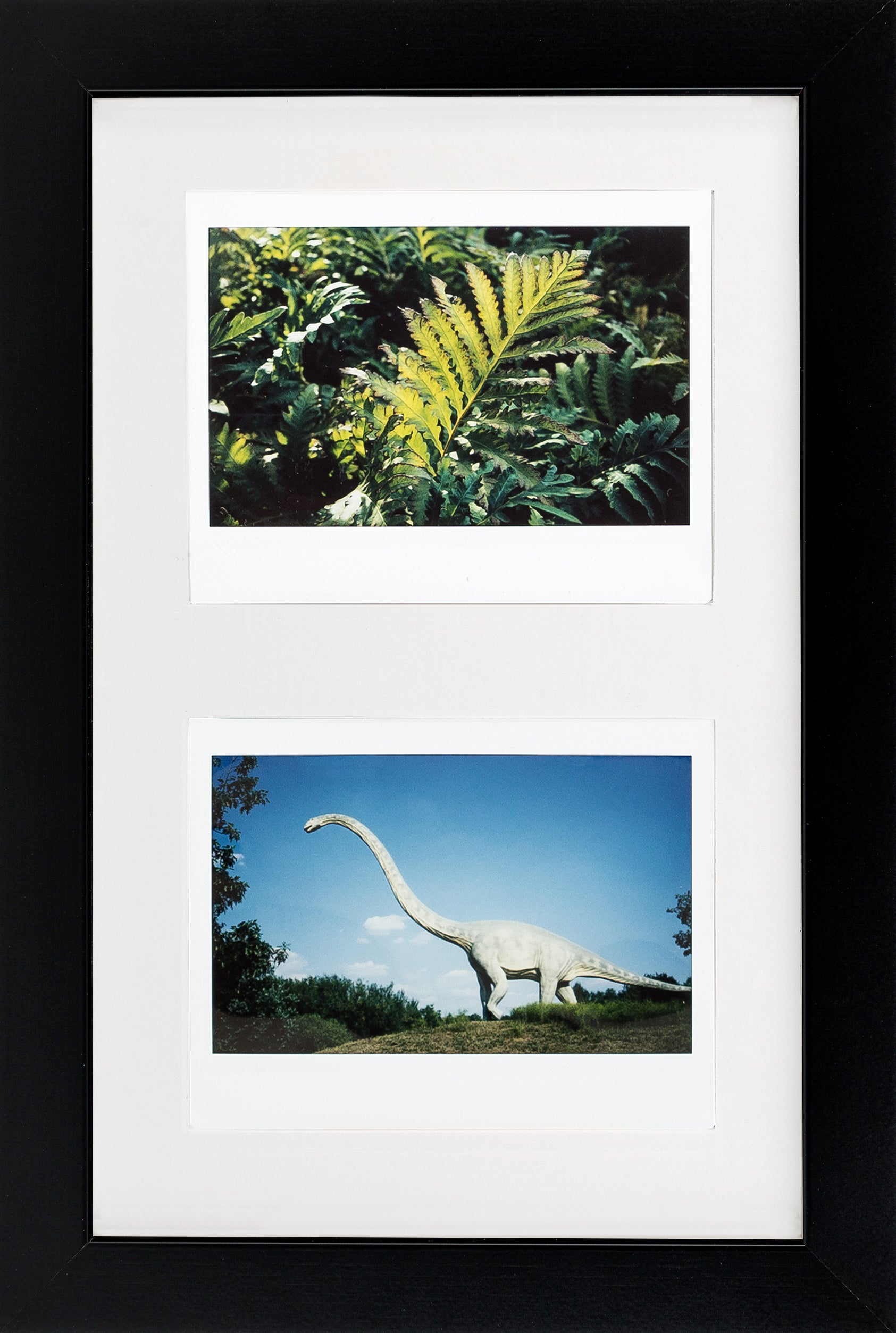 Fuji Instax Wide Bilderrahmen (schwarz/weiß)