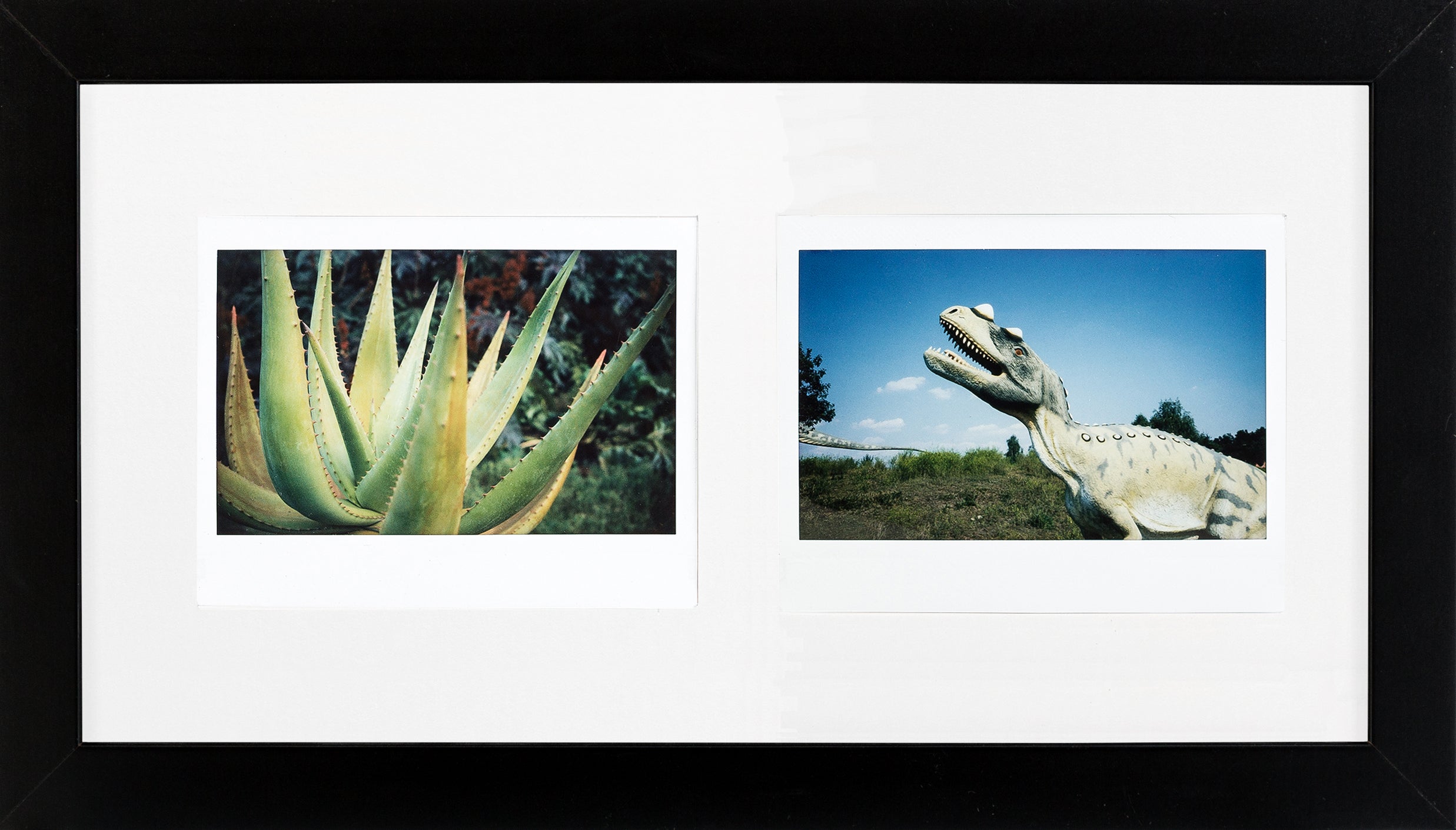 Fuji Instax Wide Bilderrahmen (schwarz/weiß)