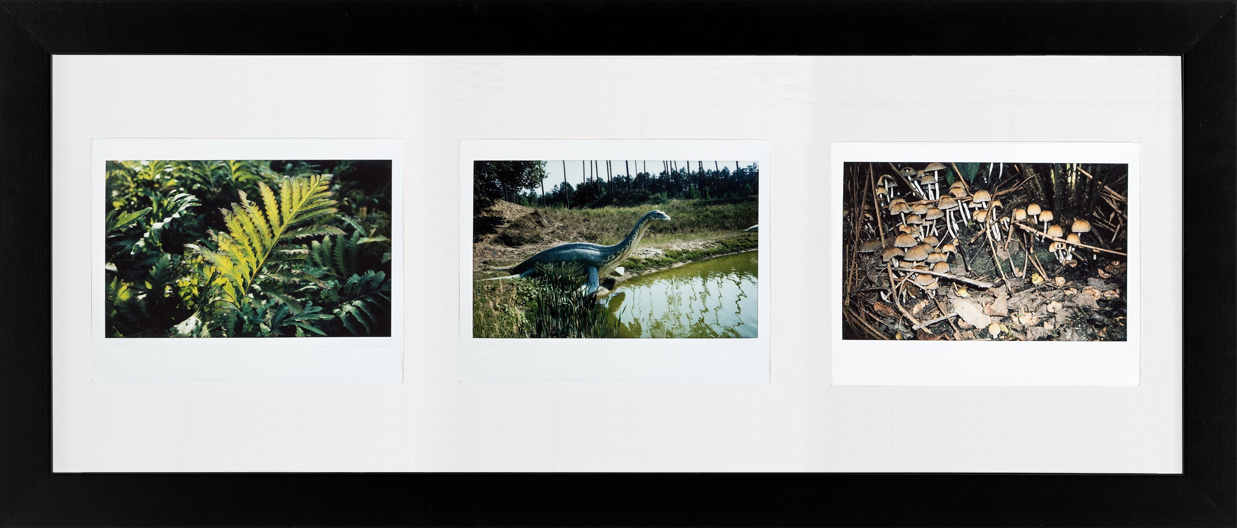 Fuji Instax Wide Bilderrahmen (schwarz/weiß)