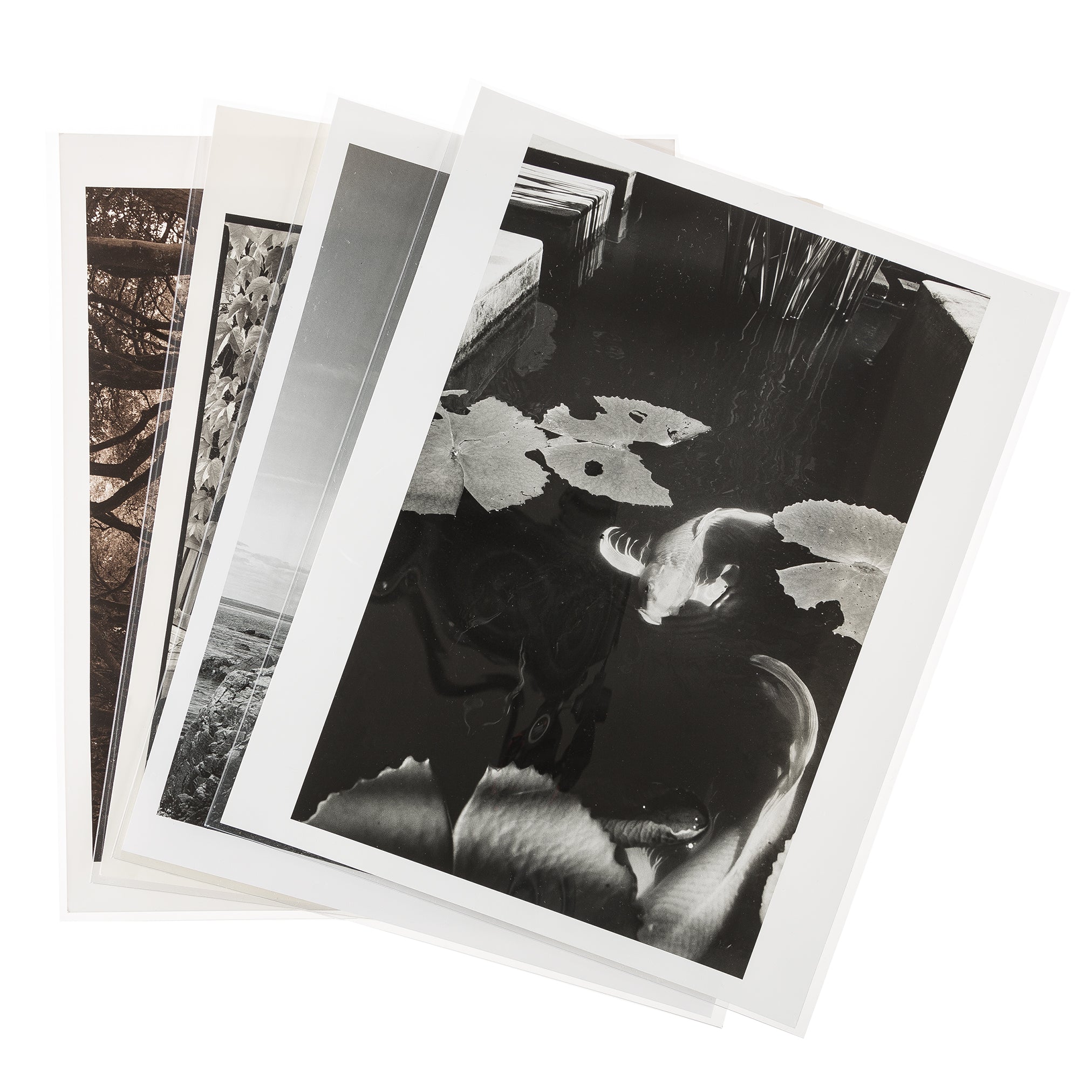 Archivpolyester Schutzhüllen (10 Stück)