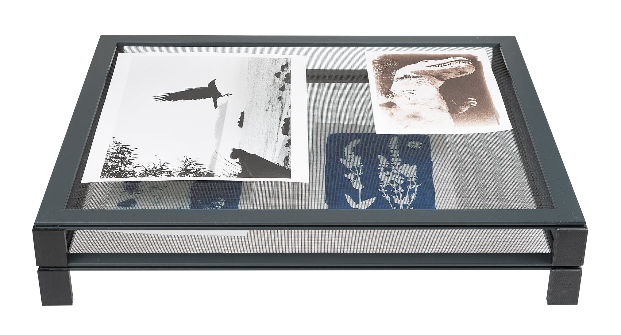 EDITION ARGENTUM Trockensiebe (einzeln)