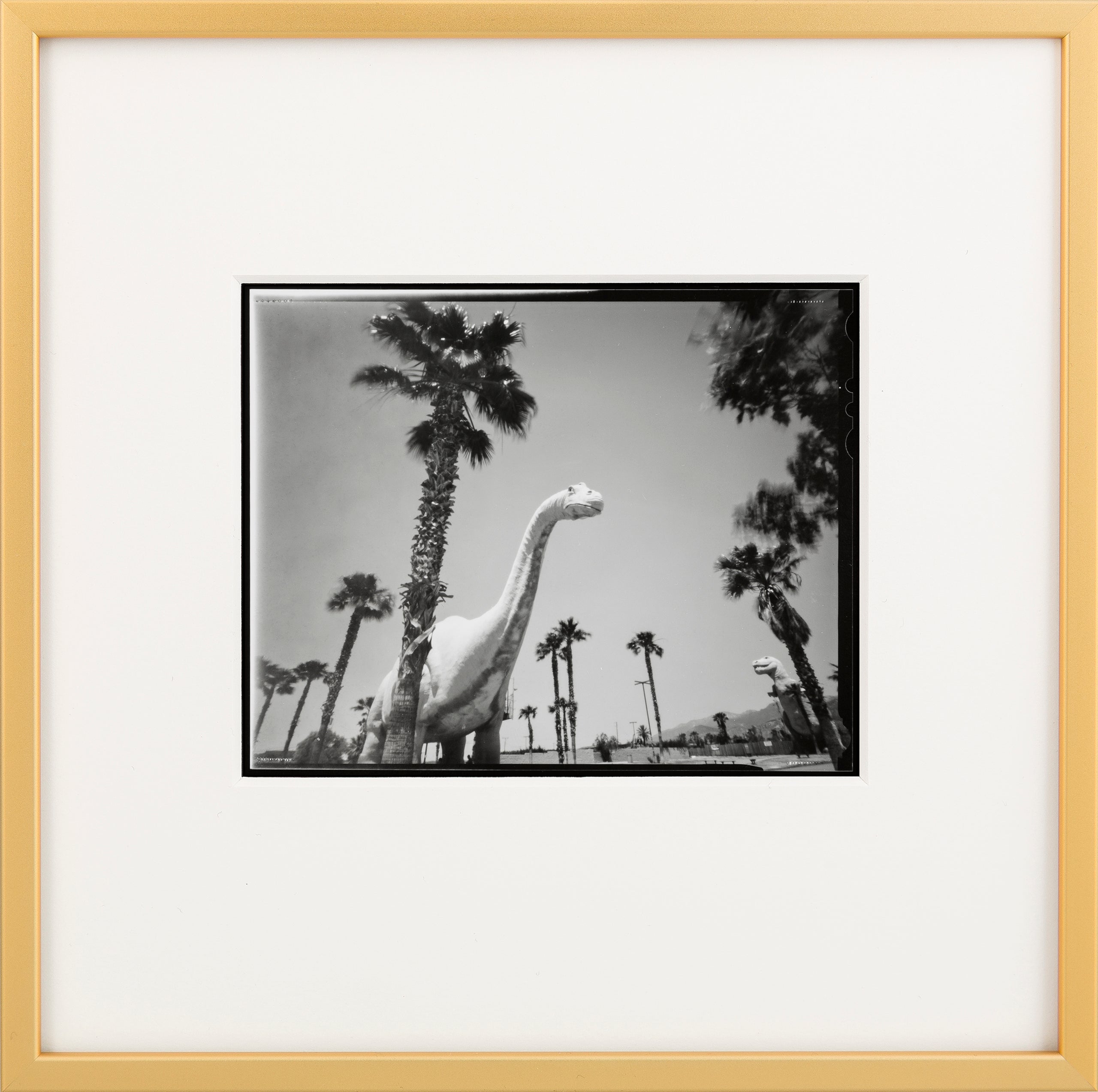 Westcoast Pinholes - California Dinosaurs