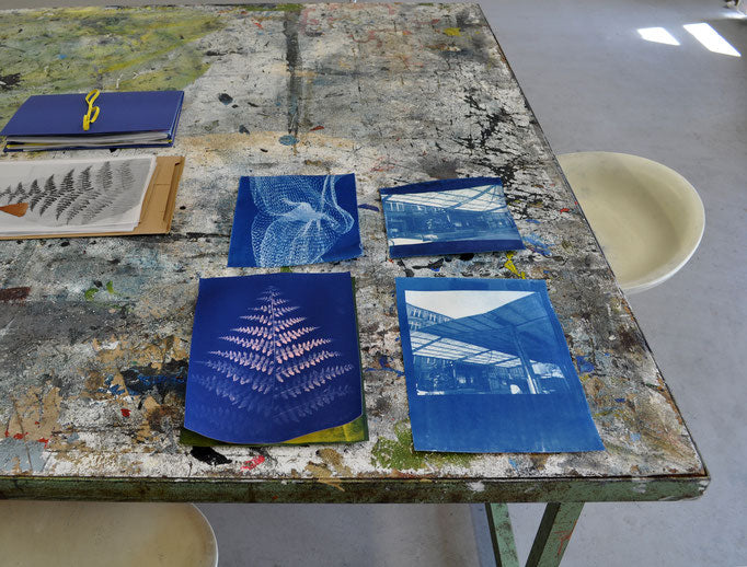 Workshop - Cyanotype Beginner Course (Kirsten Heuschen)