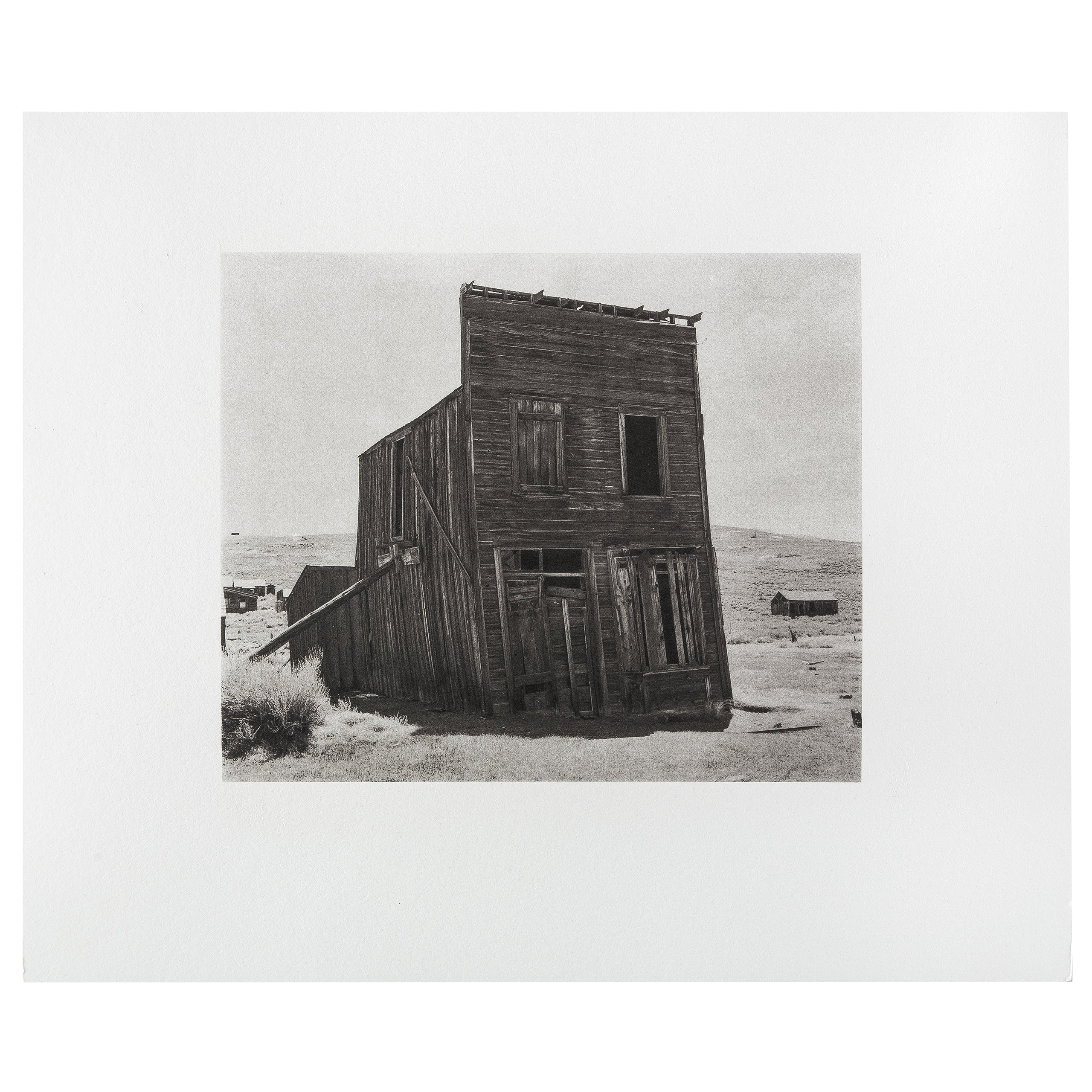 Platinum - Palladium Printing Service